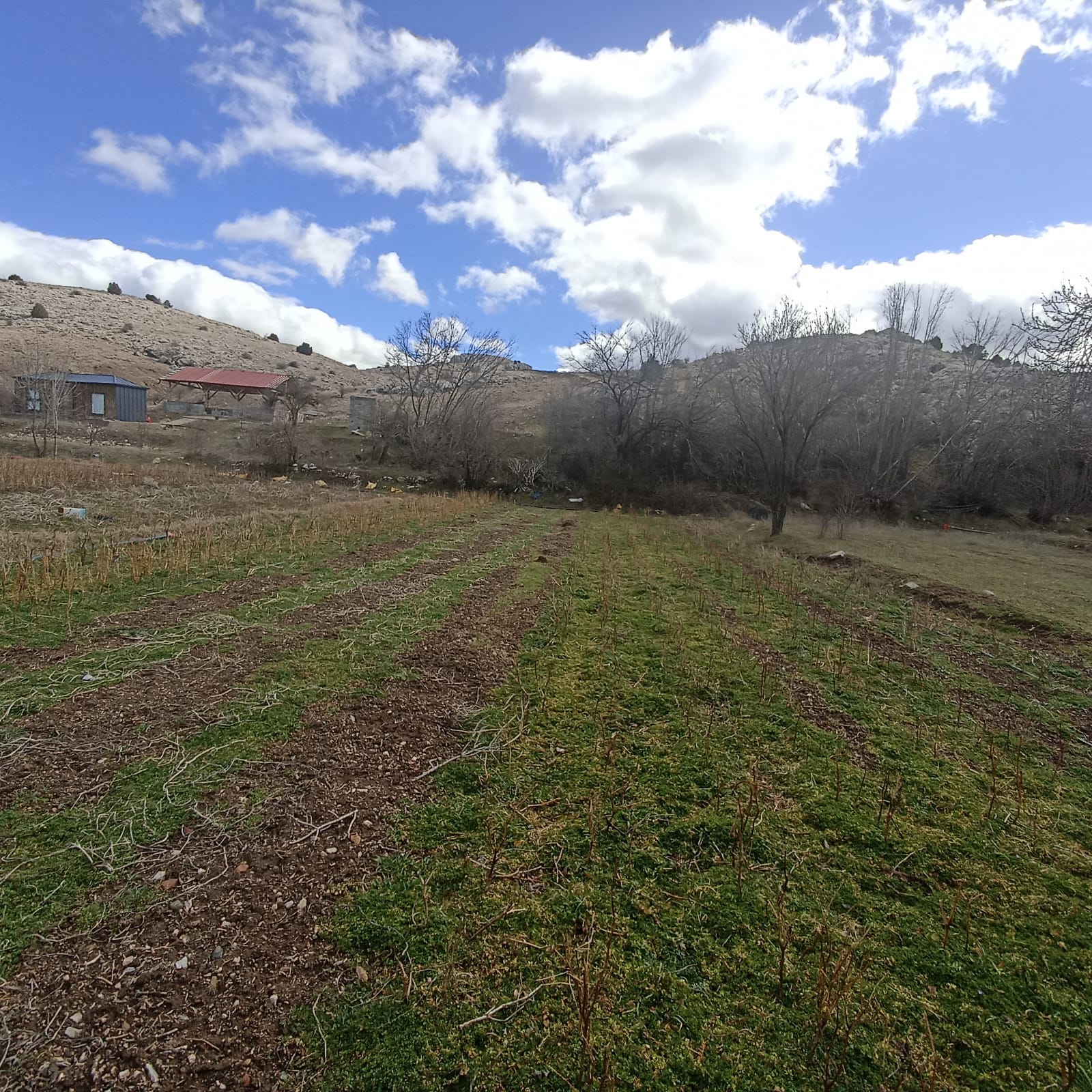 MERAM KARADİĞİN DERESİN DE 307 M2 BAHÇELİK ARAZİ.. görsel 3