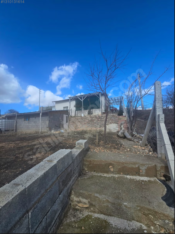 SIZMA MOLLA BAĞLARI İÇİNDE EVİ VE 30-40 ADET AĞAÇ BULUNAN BAHÇE. görsel 3
