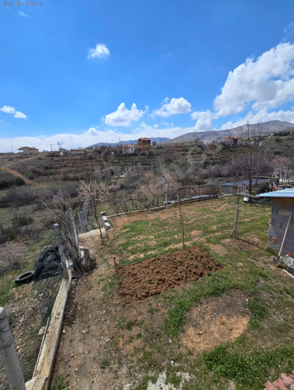 SIZMA MOLLA BAĞLARI İÇİNDE EVİ VE 30-40 ADET AĞAÇ BULUNAN BAHÇE. görsel 4