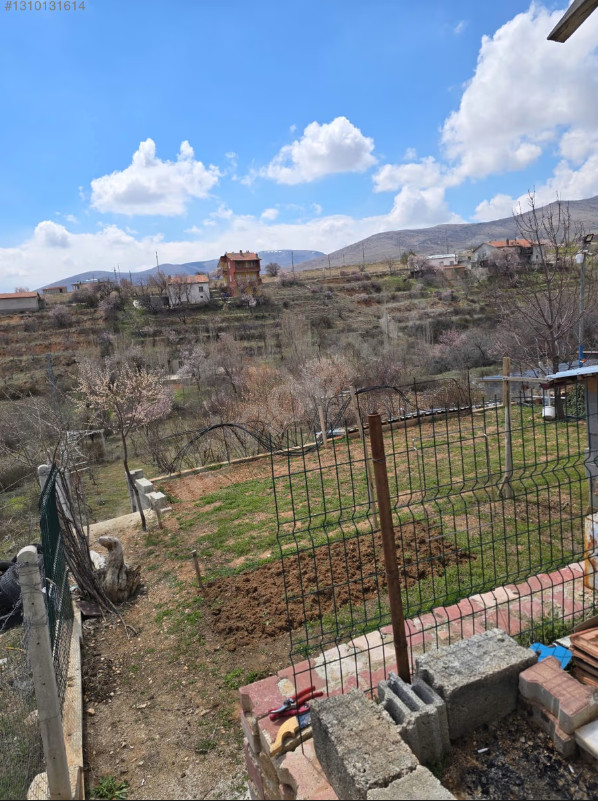 SIZMA MOLLA BAĞLARI İÇİNDE EVİ VE 30-40 ADET AĞAÇ BULUNAN BAHÇE. görsel 7