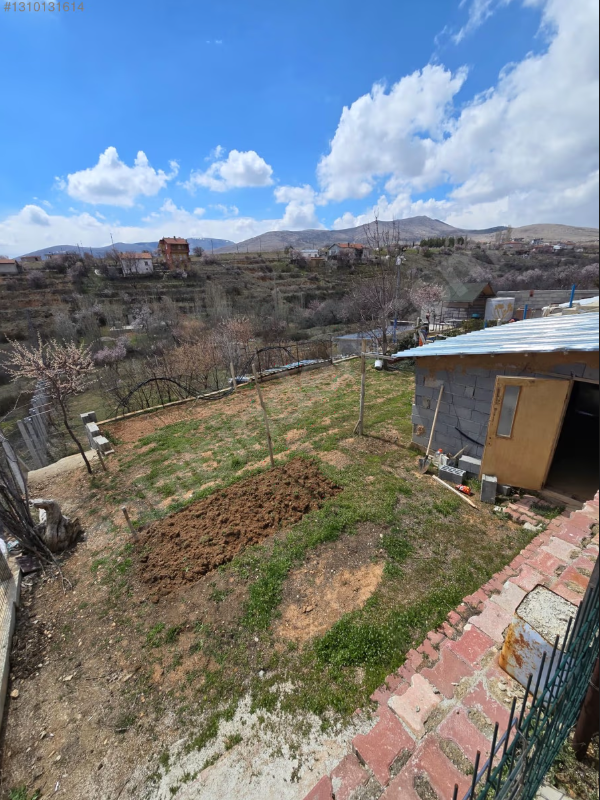 SIZMA MOLLA BAĞLARI İÇİNDE EVİ VE 30-40 ADET AĞAÇ BULUNAN BAHÇE. görsel 8